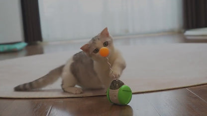 Electric Sounding Tumbler Cat Toy Funny Ball