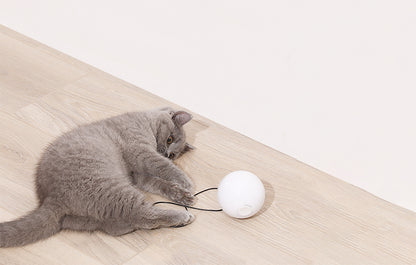 Smart play ball for dog/cat